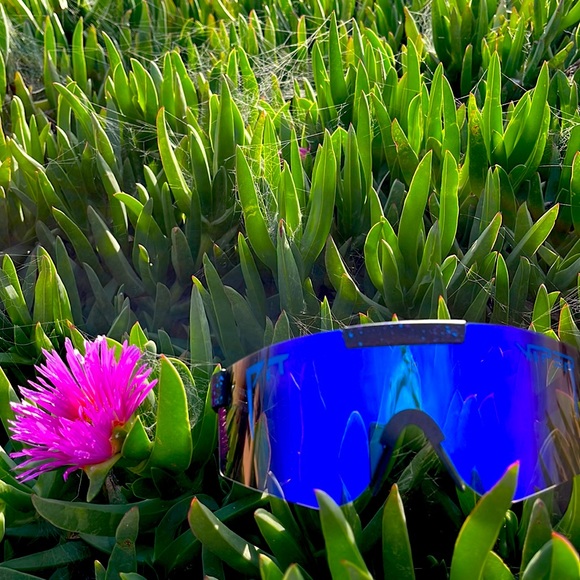 Pit Vipers - Picture 2 of 4